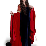 Arwen Blood Red Dress